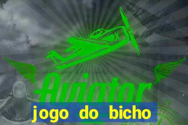 jogo do bicho crash bingo